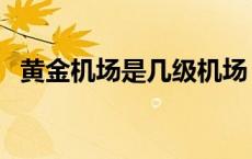 黄金机场是几级机场（黄金机场是哪里的）