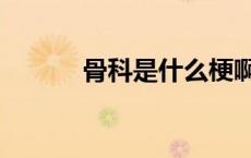 骨科是什么梗啊（骨科什么梗）