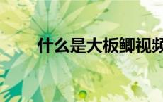 什么是大板鲫视频（什么是大板鲫）