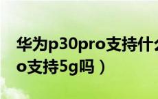 华为p30pro支持什么音频解码（华为p30pro支持5g吗）