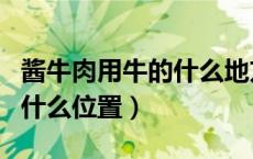 酱牛肉用牛的什么地方肉好吃（酱牛肉用牛的什么位置）