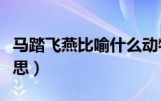 马踏飞燕比喻什么动物（马踏飞燕比喻什么意思）