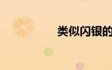 类似闪银的口子有哪些