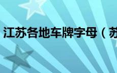 江苏各地车牌字母（苏车牌号字母是哪里的）
