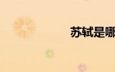 苏轼是哪一朝代的