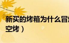 新买的烤箱为什么冒烟（新买的烤箱为什么要空烤）