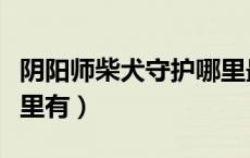 阴阳师柴犬守护哪里最多（阴阳师柴犬守护哪里有）