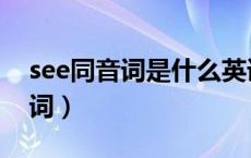 see同音词是什么英语（see同音词是什么单词）