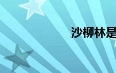沙柳林是什么意思