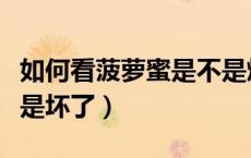 如何看菠萝蜜是不是烂了（如何看菠萝蜜是不是坏了）