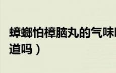 蟑螂怕樟脑丸的气味吗（蟑螂害怕樟脑丸的味道吗）
