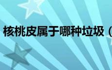 核桃皮属于哪种垃圾（核桃皮属于哪种垃圾）