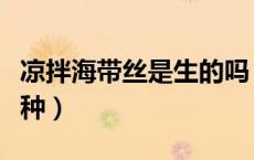 凉拌海带丝是生的吗（海带能生吃吗凉拌的那种）