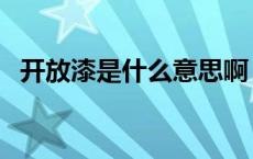 开放漆是什么意思啊（开放漆是什么意思）