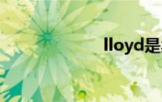 lloyd是卖什么的