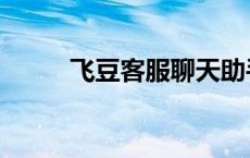 飞豆客服聊天助手（飞豆是什么）