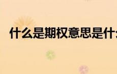 什么是期权意思是什么（什么是期待视野）
