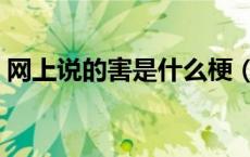 网上说的害是什么梗（害是什么梗怎么回答）