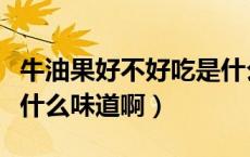 牛油果好不好吃是什么味道（牛油果好吃吗是什么味道啊）