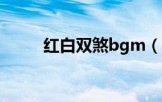 红白双煞bgm（红白双煞是什么）