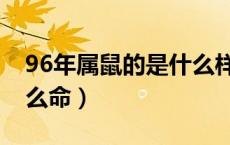96年属鼠的是什么样的命（96年属鼠的是什么命）
