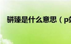 骈臻是什么意思（p站是什么意思啊国外）