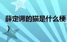 薛定谔的猫是什么梗（网络上薛定谔是什么梗）