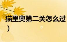 猫里奥第二关怎么过（猫里奥第二关怎么过去）