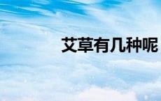 艾草有几种呢（艾草有几种）