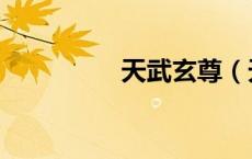天武玄尊（天武什么气）