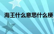 海王什么意思什么梗（海王是什么意思梗）
