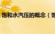 饱和水汽压的概念（饱和的水汽是什么意思）