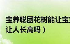 宝养聪团花树能让宝宝长高吗（团花树真的能让人长高吗）
