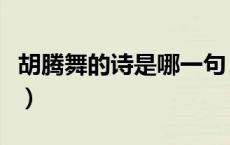 胡腾舞的诗是哪一句（胡腾舞的诗句是哪一个）
