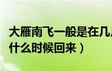 大雁南飞一般是在几月（大雁南飞是什么季节什么时候回来）