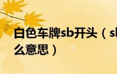 白色车牌sb开头（sb车牌号白色车牌代表什么意思）