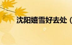 沈阳嬉雪好去处（沈阳老雪多少度）