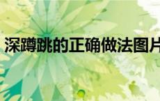 深蹲跳的正确做法图片（深蹲跳的正确做法）