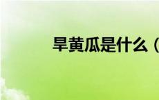 旱黄瓜是什么（旱黄瓜是什么）