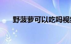 野菠萝可以吃吗视频（野菠萝能吃吗）