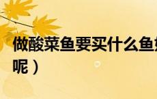 做酸菜鱼要买什么鱼好（做酸菜鱼要买什么鱼呢）