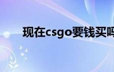 现在csgo要钱买吗（csgo要钱买吗）
