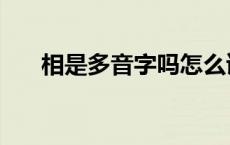 相是多音字吗怎么读（相是多音字吗）