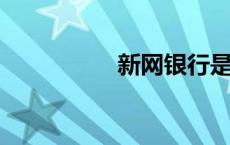 新网银行是个什么银行
