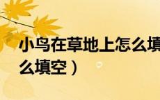 小鸟在草地上怎么填空（的小鸟在的叫着.怎么填空）