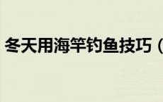 冬天用海竿钓鱼技巧（冬天用海竿钓鱼技巧）