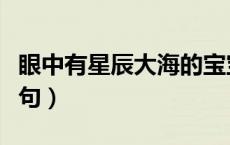 眼中有星辰大海的宝宝（眼中有星辰大海下一句）