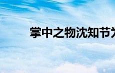 掌中之物沈知节为什么变成傅慎行