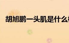 胡旭鹏一头肌是什么梗（一头肌是什么梗）