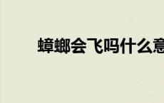 蟑螂会飞吗什么意思（蟑螂会飞吗）